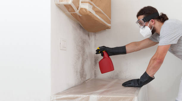 Professional Mold Cleanup technician working in Wendell, NC