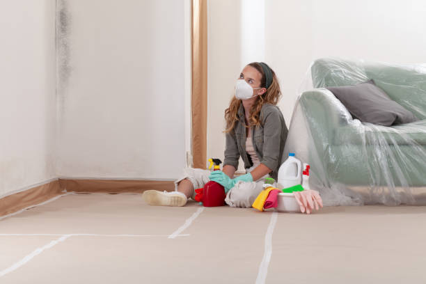 Reliable Mold Cleanup contractor in Wendell, NC by Cheap Mold Removal